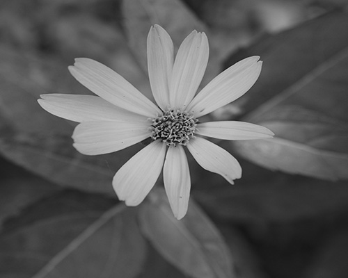 portfolio 8