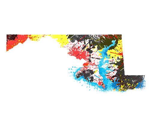 portfolio 5